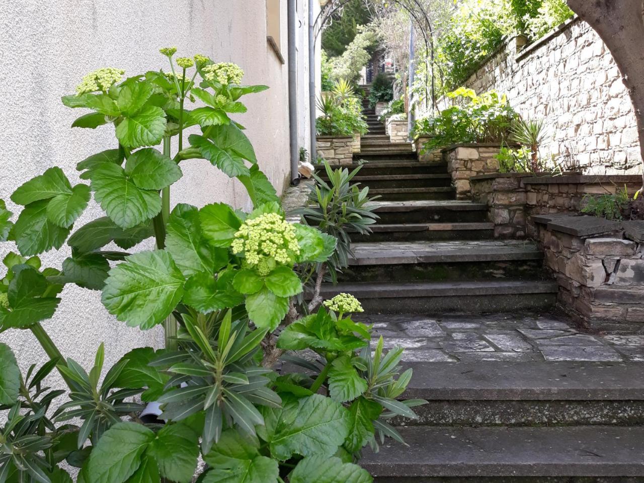 Iosiphis Stonebuilt House Guest House Pano Lefkara Luaran gambar